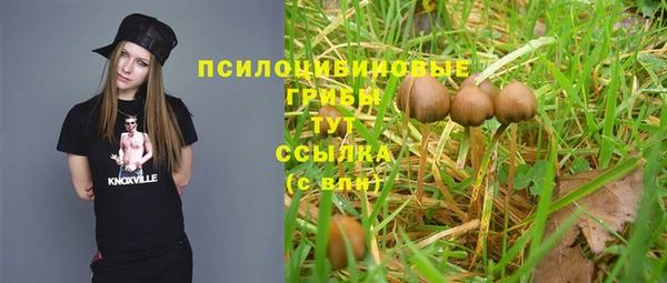 гидропоника Кулебаки