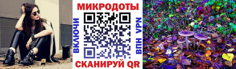 Галлюциногенные грибы Psilocybine cubensis Реутов
