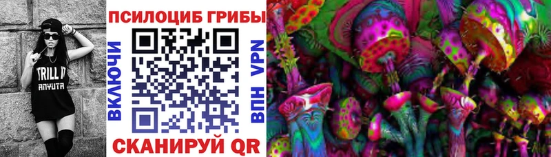 гидра зеркало  где найти   Реутов  Галлюциногенные грибы Psilocybine cubensis 