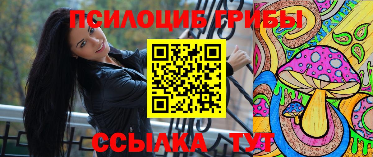 купить  сайты  Псилоцибиновые грибы прущие грибы  Вход с VPN  Реутов 
